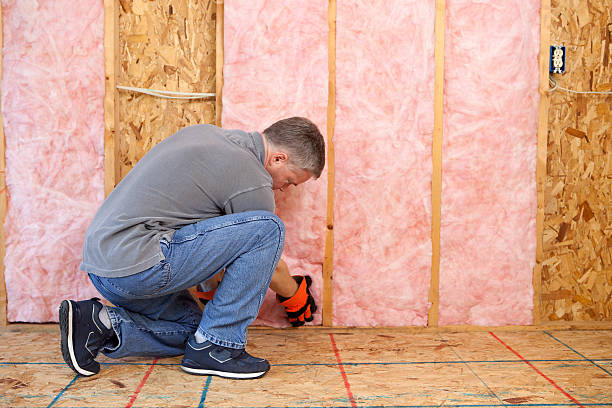 Best Energy-efficient Insulation  in Sebastopol, CA